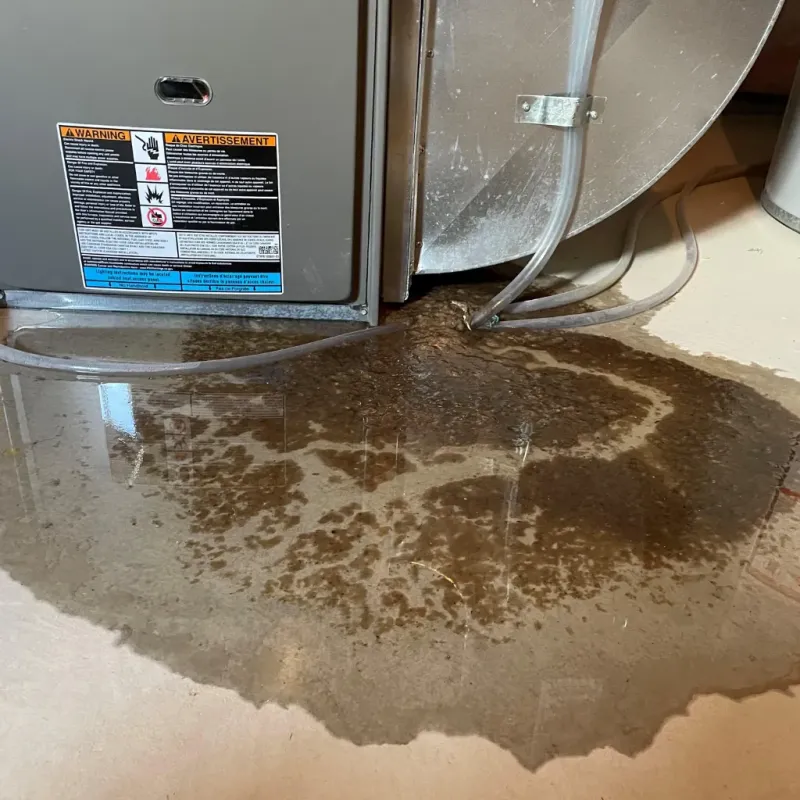 Appliance Leak Cleanup in Aberdeen, WA